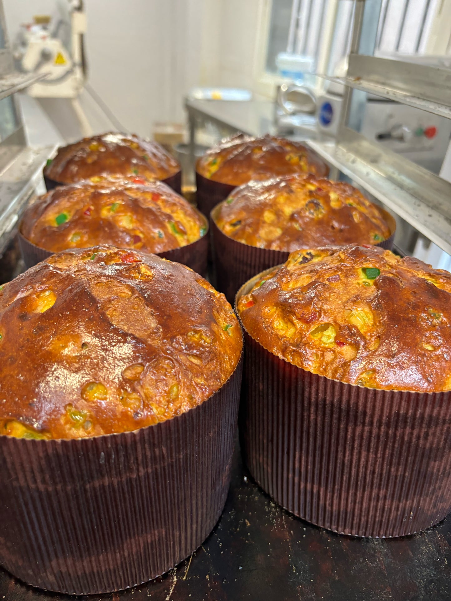 Panettone de Chocolate o Frutas